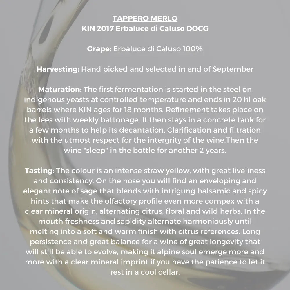 [Aging Wine] Tappero Merlo Kin 2017 Erbaluce di Caluso DOCG 750ml - mamabox.sg